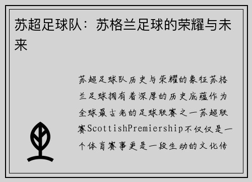 苏超足球队：苏格兰足球的荣耀与未来